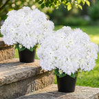 2 Pack 18'' Pink Dahlia Artificial Flowers Potted