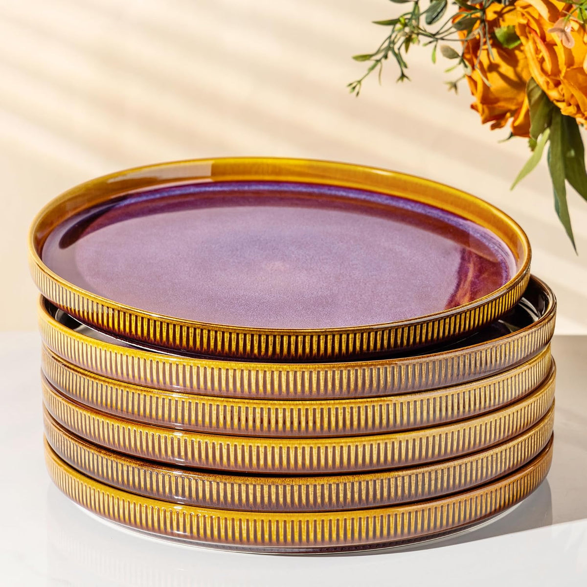 Ceramic Dinner Plates Set of 6, 10.25 Inch Dinnerware Plates