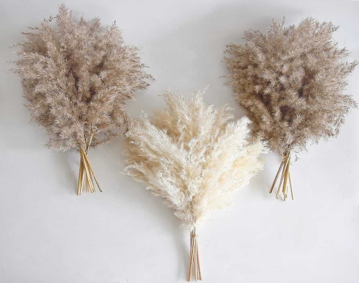 60 PCS Boho Decor, Fluffy Pompas Grass, Natural Dry Pampas Grass Small, Short Pampass Bulk for Boho Room Decor, Coffee Table Decor (17 inch )