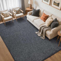 5x7 Grey Area Rug Non-Slip Washable Soft Thin for Living Room Bedroom