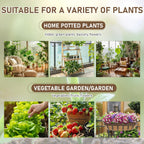 Soil Activator, Soil Revitalizer & Soil Conditioner for Plants, Supports Root Development & Nutrient Absorption for Lawn Garden Indoor Outdoor Plants, 200G