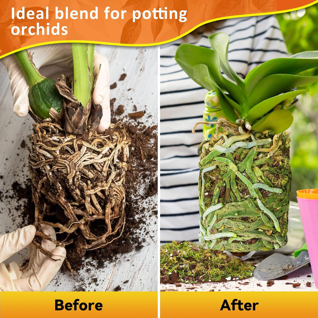 2QT Orchid Potting Mix for Repotting, Pre-Mixed & Ready-to-Use