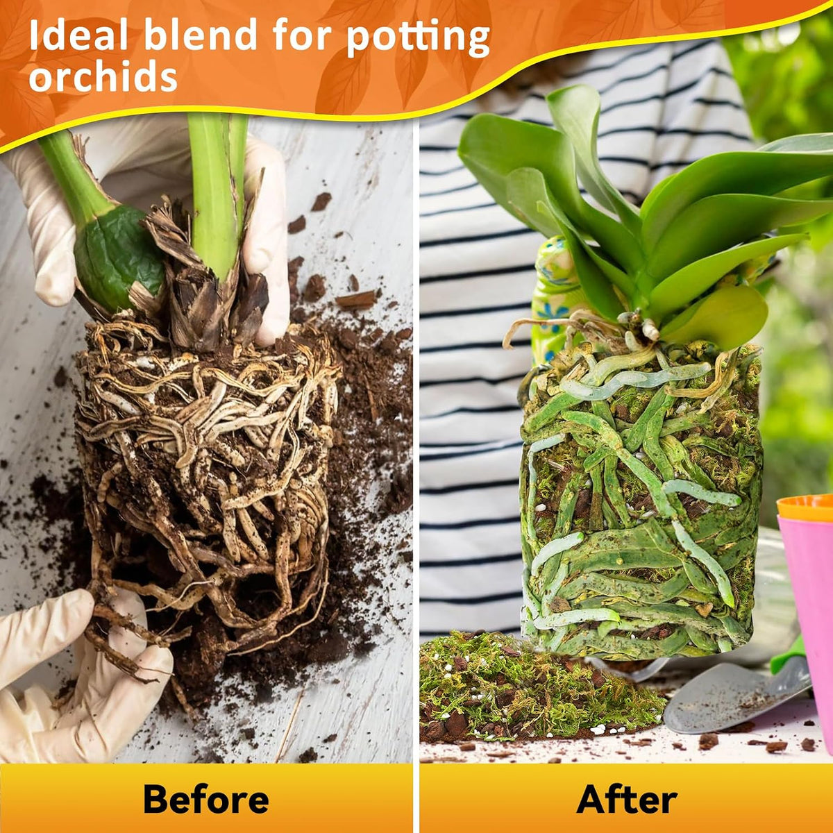 2QT Orchid Potting Mix for Repotting, Pre-Mixed & Ready-to-Use