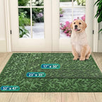 Bulijojo Sturdy Frontr Entrance Doormats, Durable Heavy Duty Welcome Mat - Image 2