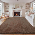 6x9 Area Rug for Living Room: Fluffy Shag Soft Washable Rugs Large Fuzzy Plush by VECARF