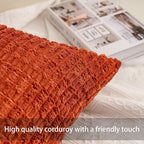 Pack of 2 Corduroy Decorative Throw Pillow Covers 24x24 InchSoft Striped Pillow - Image 2