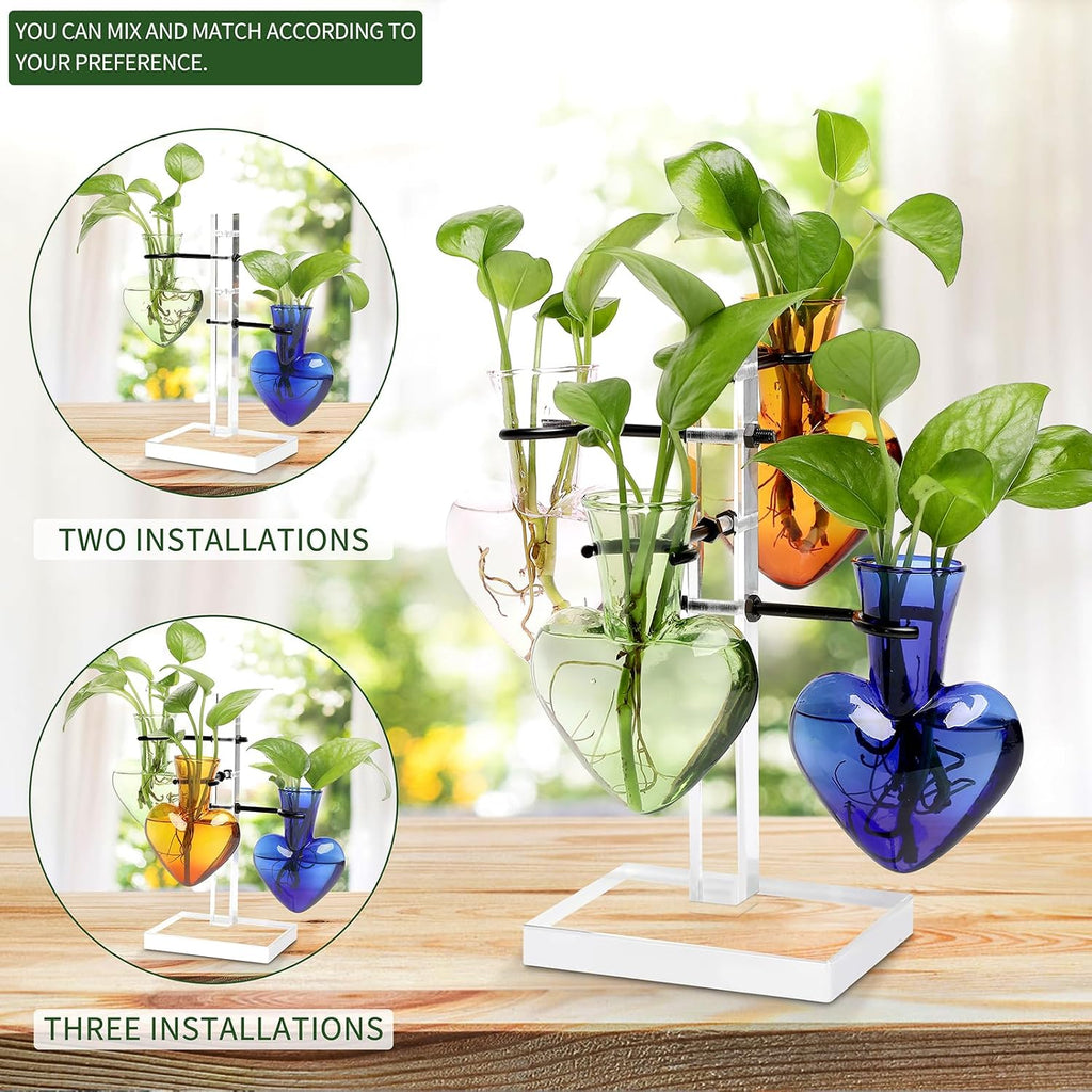 Plants Propagation Stations Plant Terrarium Kit Gift for Women