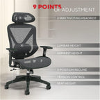 Staples Dexley Ergonomic Mesh Task Chair, Lumbar Support, Swivel, Black