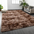 Deerhoo Shag Area Rug, 4 X 6 Tie-Dyed Plush Fuzzy Rugs by Deerhoo