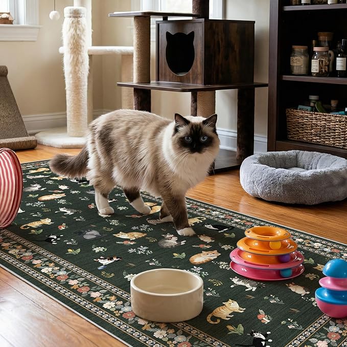 3x7 Washable Kitchen Runner Rug by EISUROM