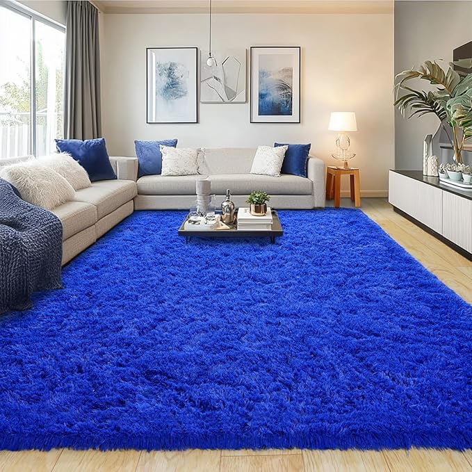 Pionblank Large Area Rug for Living Room 10x14, Fuzzy Modern Shag Rug, Fluffy by PIONBLANK