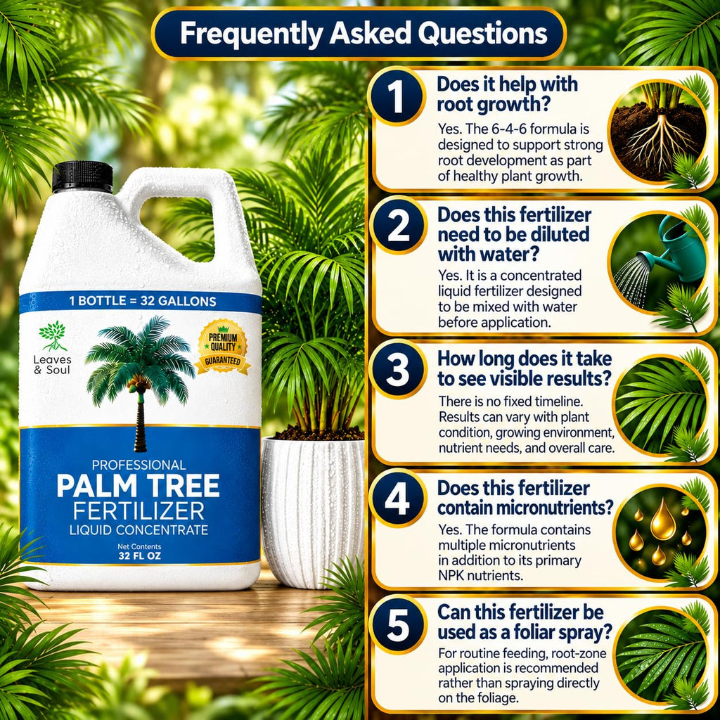 Leaves & Soul Palm Tree Fertilizer 6-4-6, Liquid Palm Plant Food, 32 oz