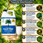 Leaves & Soul Palm Tree Fertilizer 6-4-6, Liquid Palm Plant Food, 32 oz