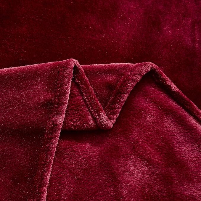 TASTHROW Large Flannel Fleece Throw Blanket, 60×80 Inch - Image 5