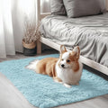 OLANLY 2x3 Machine Washable Small Bedside Rug, Soft Fluffy Shaggy Entryway by OLANLY