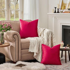 GIGIZAZA Decor Throw Couch Pillow Covers, Velvet Pillow Cases 24 x 24inch - Image 3