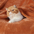 Bedsure GentleSoft Dark Orange Fleece Blanket King Size - Image 2