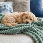 Bedsure GentleSoft Sage Green Throw Blanket - Image 9