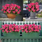 Artificial Flowers Outdoors, Artificial Geraniums for Outdoors, Fake Geranium Flowers, UV Resistant Faux Outdoor Plants for Planters, Artificial Flowers for Indoor Home Decor, Rose Red 4PCS