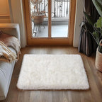 Small Area Rug, 2x3 Rug for Bedroom Shaggy Throw Rugs for Dorm Rug, Soft Shag - Image 2