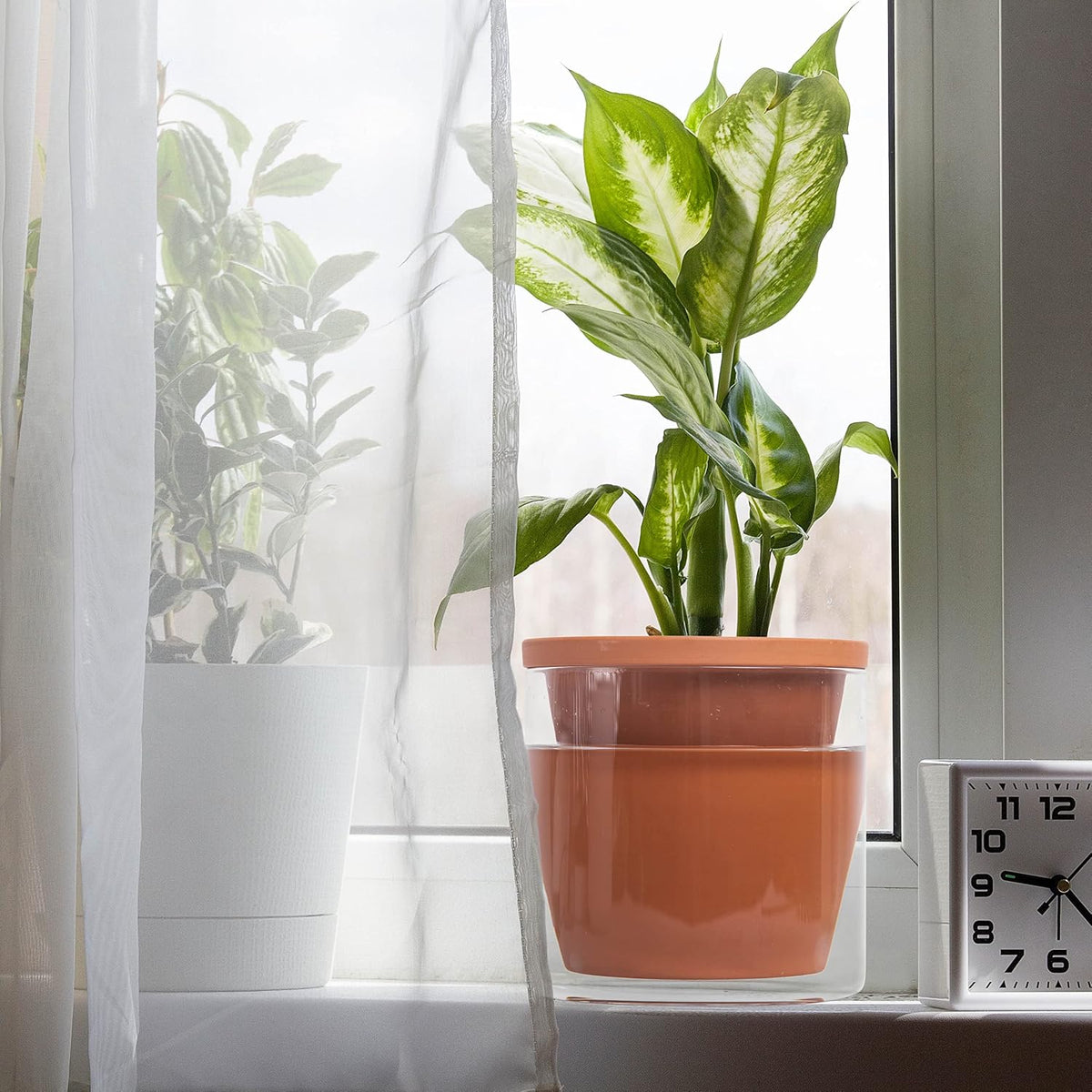 D'vine Dev Self Watering Terracotta Planter Pot, 6 in, 2-Pack, 37-Y-B-1