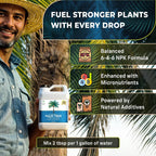 Leaves & Soul Palm Tree Fertilizer 6-4-6, Liquid Palm Plant Food, 32 oz