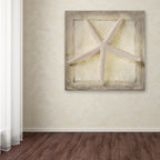 Trademark Fine Art Canvas Wall Art - Lightboxjournal 'Starfish' Wall Art for Living Room, Bedroom, or Office Décor