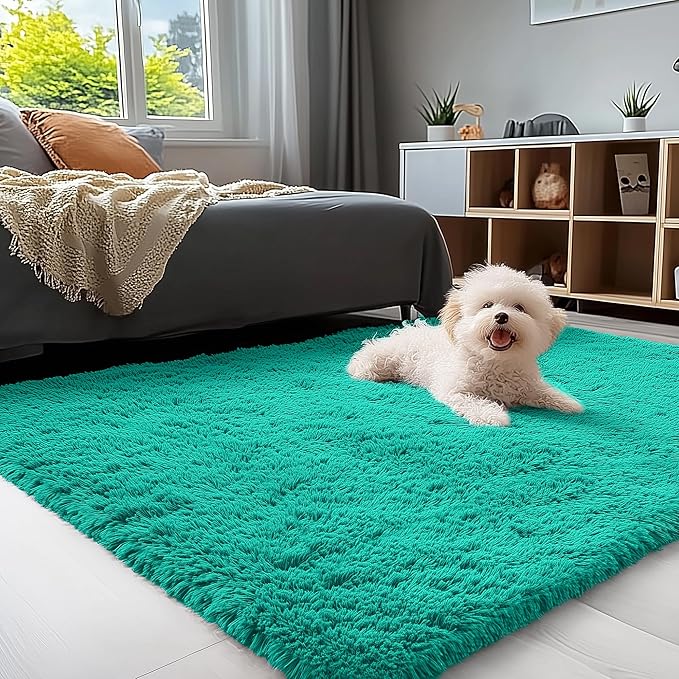OLANLY 3x5 Machine Washable Small Bedside Rug, Soft Fluffy Shaggy Rugs by OLANLY