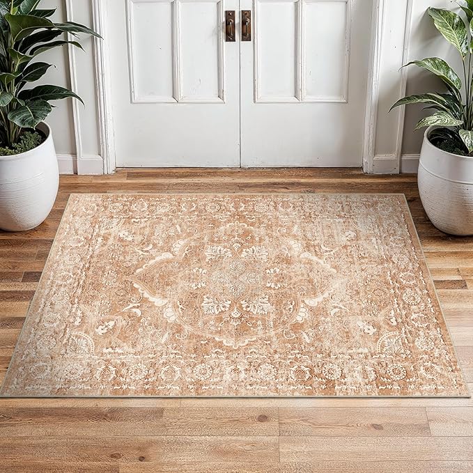2x3 Entryway Area Rug Washable - Image 4