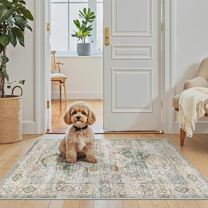 Madane Washable Area Rug 2x3, Small Entryway Rug Non-Slip Vintage Door Mat by Madane