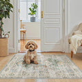 Madane Washable Area Rug 2x3, Small Entryway Rug Non-Slip Vintage Door Mat by Madane