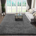 Ophanie Rugs for Living Room, Upgrade Non-Slip Fluffy Soft 5x8 Area Rug by Ophanie