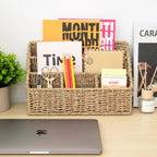 Mail Organizer Countertops, Desk Organizer Bills Organizer, Mail Sorters Organizers, Pencil Holder Magazine File Holder, Desk Organizer and Accessories(Seagrass)