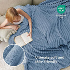 Bedsure GentleSoft Blue Full Blanket - Image 4