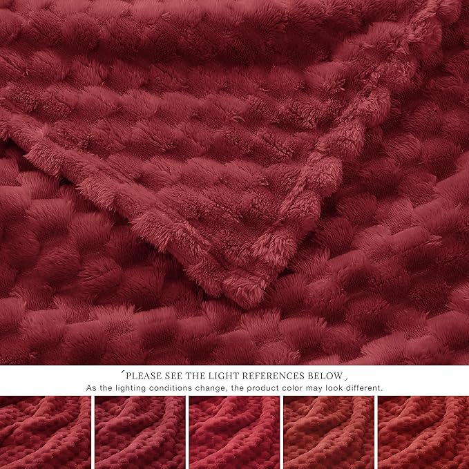 EXQ Home Fleece Throw Blanket for Couch or Bed - Image 6