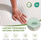 EGOHOME Full Size Memory Foam Mattress 6 Inch, Green Tea, Medium Firm