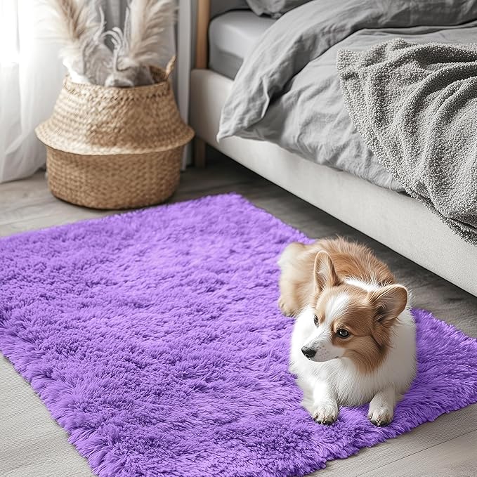 OLANLY 2x3 Machine Washable Small Bedside Rug, Soft Fluffy Shaggy Entryway by OLANLY