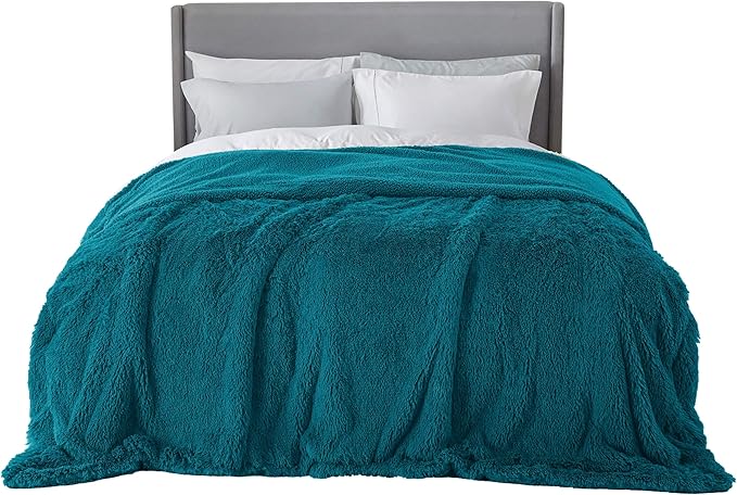 Bedsure GentleSoft Fluffy Turquoise Teal Blankets Queen Size by BEDSURE