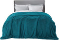 Bedsure GentleSoft Fluffy Turquoise Teal Blankets Queen Size by BEDSURE