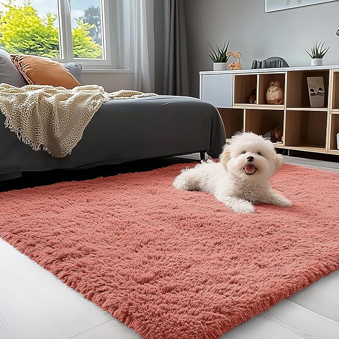 OLANLY 3x5 Machine Washable Small Bedside Rug, Soft Fluffy Shaggy Rugs by OLANLY
