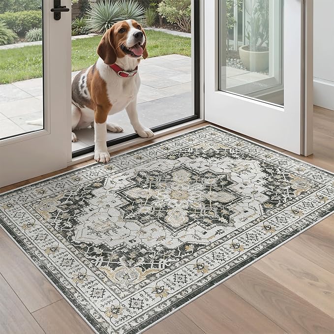 Madane Washable Entry Rug 3x4, Area Rugs - Image 2