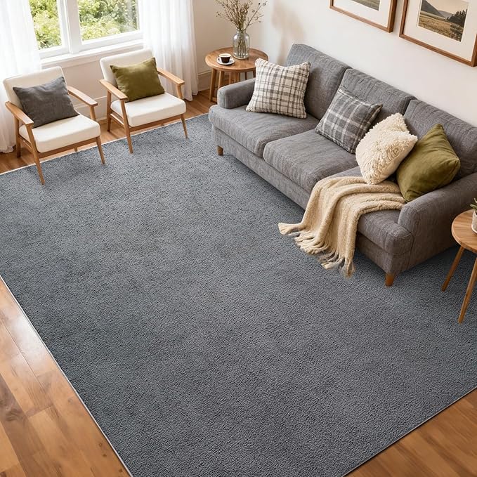 FinRèc 5x7 Washable Area Rugs for Bedroom Living Room, Low Pile Thin Rug Solid by FinRe%CC%80cHome