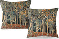 Rustic Autumn Forest Pillow Covers 18x18 Set of 2, Fall Home Room Decor by Unknown