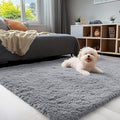 OLANLY 3x4 Machine Washable Accent Rug, Soft Fluffy Shaggy Area Rug by OLANLY