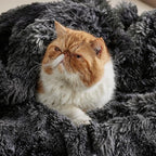 Bedsure GentleSoft Fluffy Black Blanket Cozy Gifts - Image 9