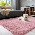 OLANLY 3x5 Machine Washable Small Bedside Rug, Soft Fluffy Shaggy Rugs by OLANLY