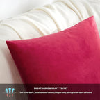 GIGIZAZA Decorative Couch Throw Pillow Covers, Pillow Cases Velvet Pillow Covers - Image 6