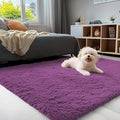 OLANLY 3x5 Machine Washable Small Bedside Rug, Soft Fluffy Shaggy Rugs by OLANLY