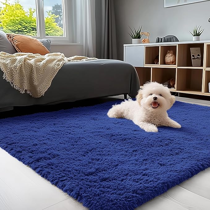 OLANLY 4x4 Machine Washable Accent Rug, Soft Fluffy Shaggy Area Rug by OLANLY