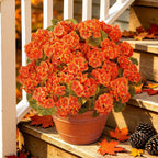 Artificial Fall Flowers Geraniums for Outdoors Front Porch Decor